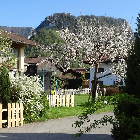 Ferienwohnung Anna Inzell Exterior foto
